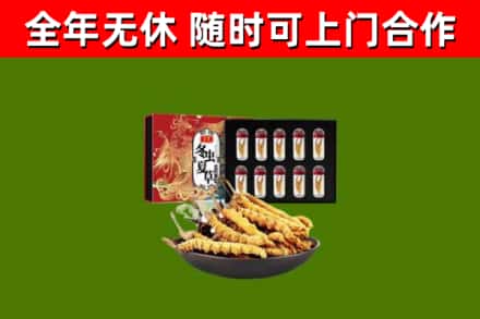 吴忠回收冬虫夏草价格